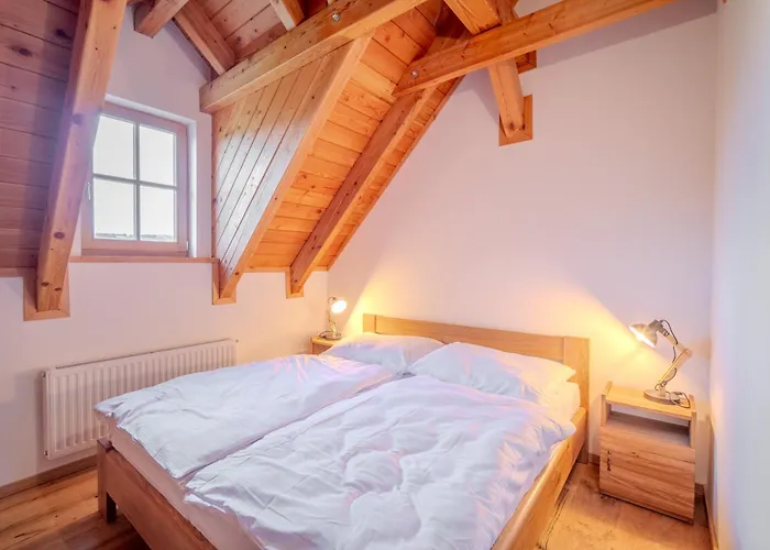 Roubenka Za Horou * Orlické Záhoří